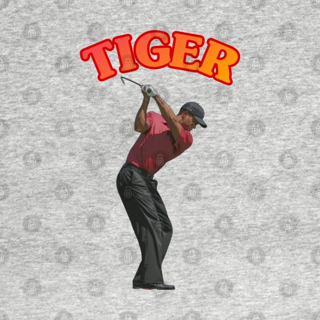 Tiger Woods Golf Swing by YungBick